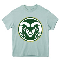 Arona colorado state rams Heavy Core Tee - linhVisuals