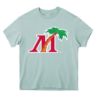 Arona fort myers miracle Heavy Core Tee - linhVisuals