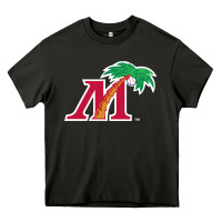 Asphalt fort myers miracle Heavy Core Tee - linhVisuals