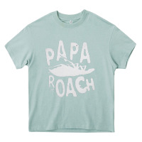 Arona papa roach Heavy Core Tee - linhVisuals