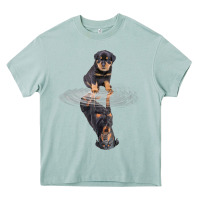 Arona rottweiler reflection t shirt funny father's day dog gifts Heavy Core Tee - linhVisuals