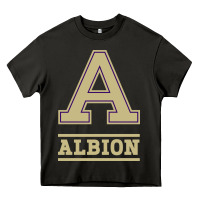 Asphalt albion college athleticpurple Heavy Core Tee - linhVisuals