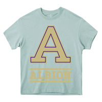 Arona albion college athleticpurple Heavy Core Tee - linhVisuals