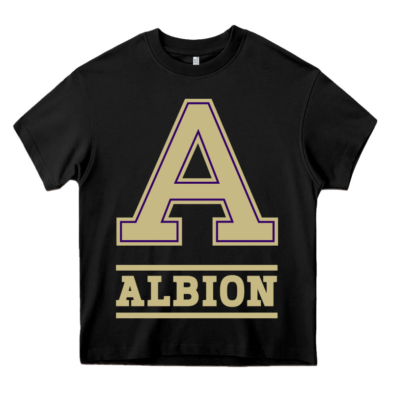 Albion College Athleticpurple Heavy Core Tee by linhVisuals | Teevron