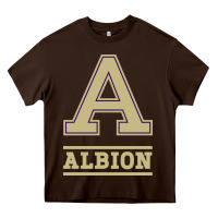 Chocolate Brown albion college athleticpurple Heavy Core Tee - linhVisuals