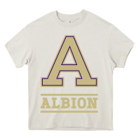 Cream albion college athleticpurple Heavy Core Tee - linhVisuals