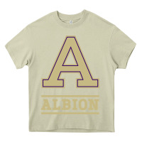 Mossy albion college athleticpurple Heavy Core Tee - linhVisuals