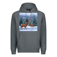 Rock winter deer Premium Hoodie - BarkalooDesign
