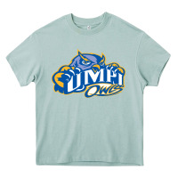 Arona university of maine at presque isle vectorized Heavy Core Tee - linhVisuals