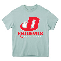 Arona red de dickinson college vectorized Heavy Core Tee - linhVisuals