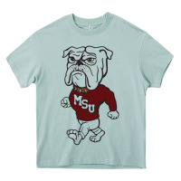 Arona mississipp state shirt Heavy Core Tee - linhVisuals