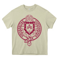Mossy f0rdham university Heavy Core Tee - linhVisuals