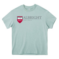 Arona albright college vectorized Heavy Core Tee - linhVisuals