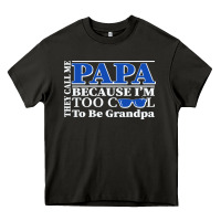 Asphalt they call me papa because i'm too cool to be grandpa Heavy Core Tee - linhVisuals