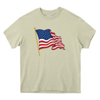Mossy American flag Heavy Core Tee - linhVisuals