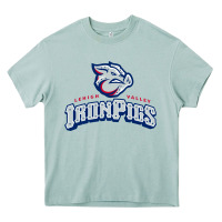Arona lehigh valley ironpigs Heavy Core Tee - linhVisuals