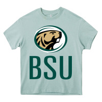 Arona bemidji state beavers, bsu, gear Heavy Core Tee - linhVisuals