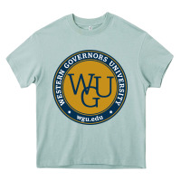 Arona wgu, studies in utah Heavy Core Tee - linhVisuals