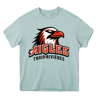 Arona trois rivières aigles Heavy Core Tee - linhVisuals