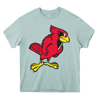 Arona illinois state redbirds Heavy Core Tee - linhVisuals