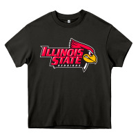 Asphalt illinois state redbirds Heavy Core Tee - linhVisuals