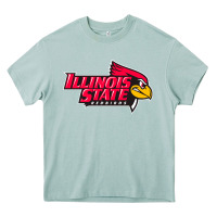 Arona illinois state redbirds Heavy Core Tee - linhVisuals