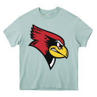 Illinois State Redbirds Heavy Core Tee | Teevron
