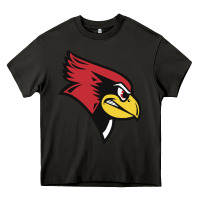 Asphalt illinois state redbirds Heavy Core Tee - linhVisuals