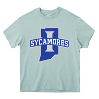 Arona indiana state sycamores Heavy Core Tee - linhVisuals