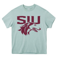 Arona southern illinois salukis Heavy Core Tee - linhVisuals