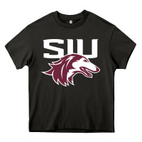 Asphalt southern illinois salukis Heavy Core Tee - linhVisuals