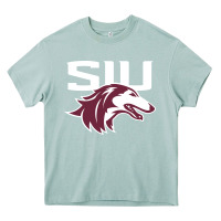 Arona southern illinois salukis Heavy Core Tee - linhVisuals