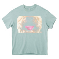 Arona labradoodle t  shirtfunny labradoodle face mask funny dog mouth t  shi Heavy Core Tee - linhVisuals