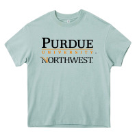 Purdue University Northwest Heavy Core Tee | Teevron