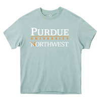 Arona purdue university northwest Heavy Core Tee - linhVisuals
