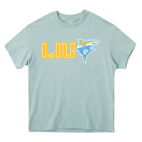 Arona long island university sharks Heavy Core Tee - linhVisuals
