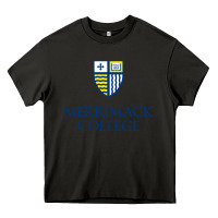 Asphalt merrimack warriors Heavy Core Tee - linhVisuals