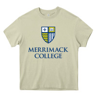 Mossy merrimack warriors Heavy Core Tee - linhVisuals