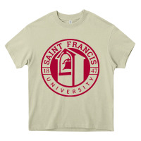 Mossy st. francis (pa) red flash Heavy Core Tee - linhVisuals