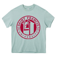 Arona st. francis (pa) red flash Heavy Core Tee - linhVisuals
