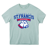 Arona st. francis brooklyn terriers Heavy Core Tee - linhVisuals