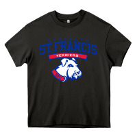 Asphalt st. francis brooklyn terriers Heavy Core Tee - linhVisuals