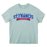 St. Francis Brooklyn Terriers Heavy Core Tee | Teevron