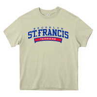 Mossy st. francis brooklyn terriers Heavy Core Tee - linhVisuals