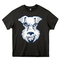 Asphalt st. francis brooklyn terriers Heavy Core Tee - linhVisuals