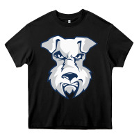 St. Francis Brooklyn Terriers Heavy Core Tee | Teevron