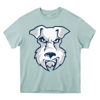 Arona st. francis brooklyn terriers Heavy Core Tee - linhVisuals