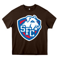 Chocolate Brown st. francis brooklyn terriers Heavy Core Tee - linhVisuals
