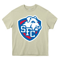 Mossy st. francis brooklyn terriers Heavy Core Tee - linhVisuals