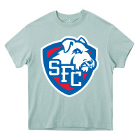 Arona st. francis brooklyn terriers Heavy Core Tee - linhVisuals